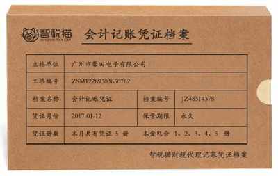 一般納稅人企業代記賬服務案例 廣州市馨田電子（日用電器修理）
